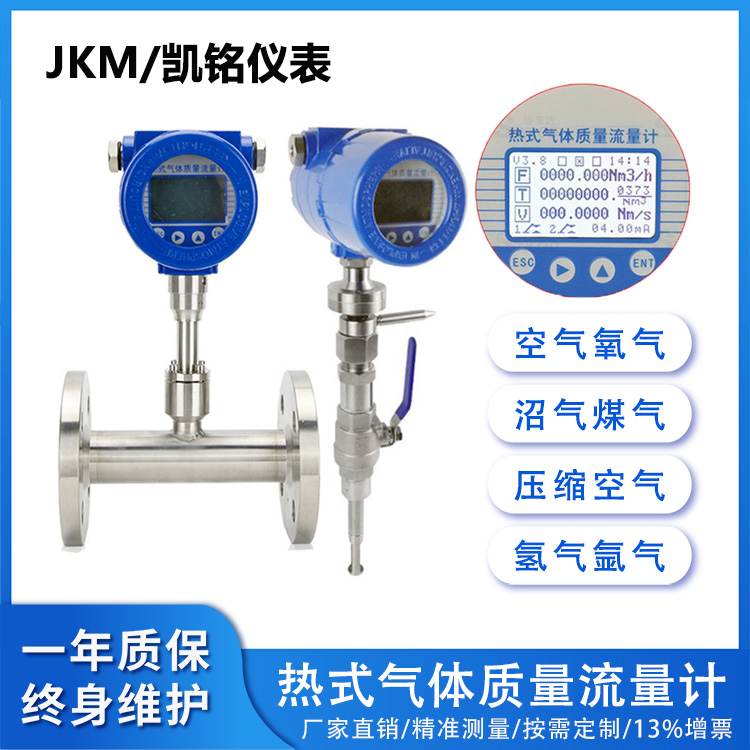 防爆熱式氣體質(zhì)量流量計(jì)